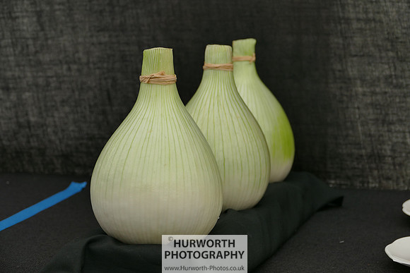 2015 RHS Tatton -34