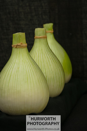 2015 RHS Tatton -35