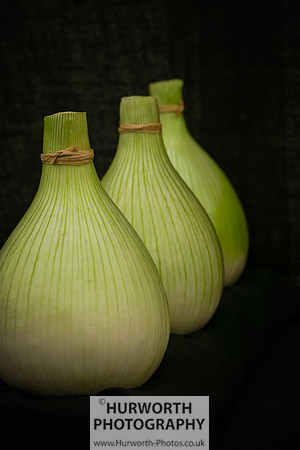 2015 RHS Tatton -36