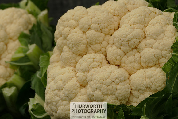 2015 RHS Tatton -39