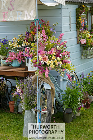 2015 RHS Tatton -47