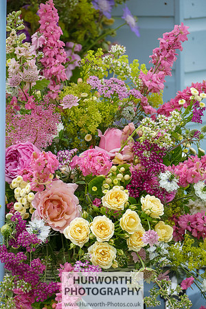 2015 RHS Tatton -49