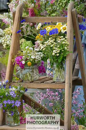 2015 RHS Tatton -50