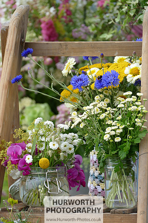 2015 RHS Tatton -51