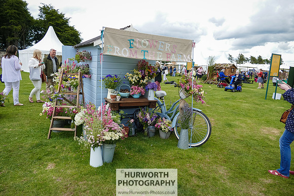 2015 RHS Tatton -52