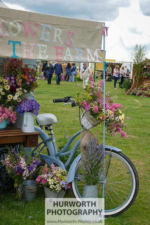 2015 RHS Tatton -53