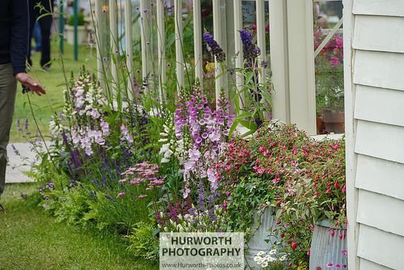 2015 RHS Tatton -56