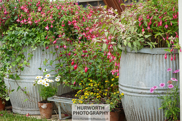 2015 RHS Tatton -58