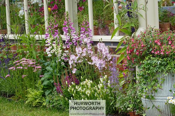 2015 RHS Tatton -59