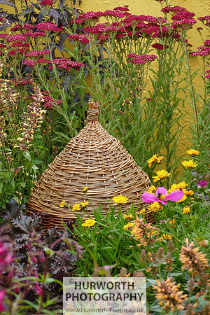 2015 RHS Tatton -61