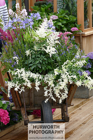2015 RHS Tatton -70