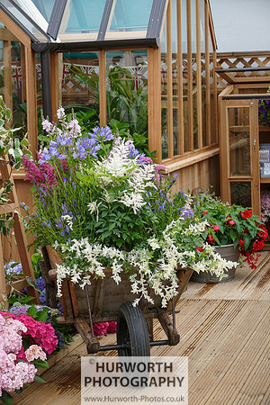 2015 RHS Tatton -71