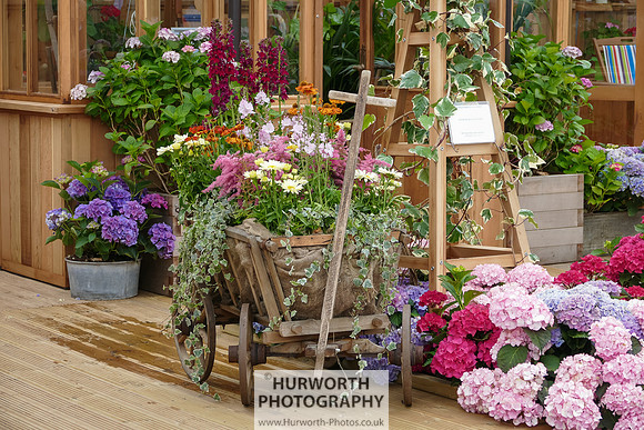 2015 RHS Tatton -72
