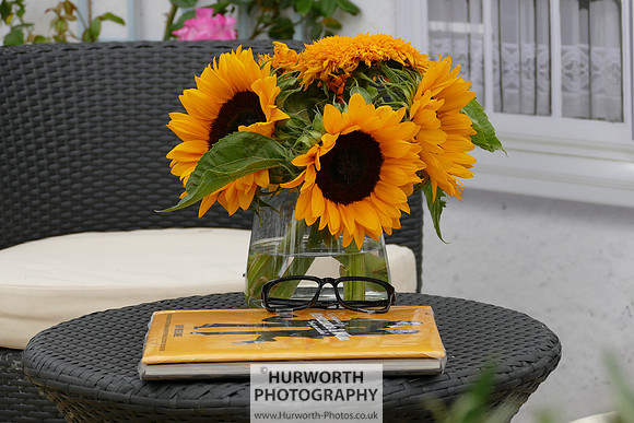 2015 RHS Tatton -79