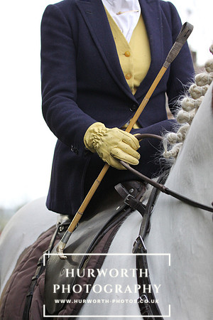 Elegant lady riding sidesaddle
