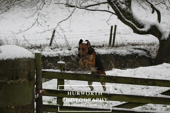 Hurworth 131