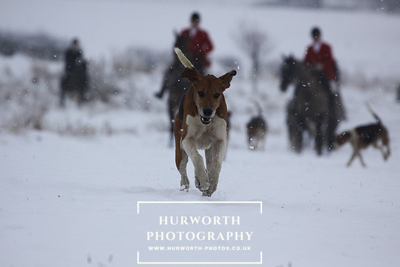 Hurworth 175