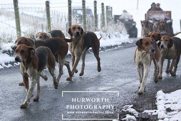 Hurworth 274