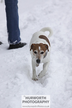Snow 040
