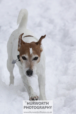 Snow 041