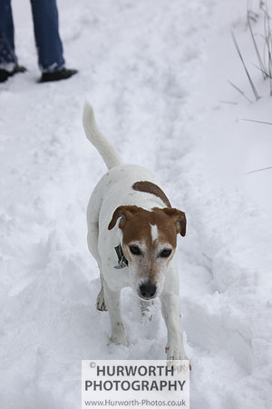 Snow 042