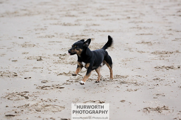 Redcar Beach 047