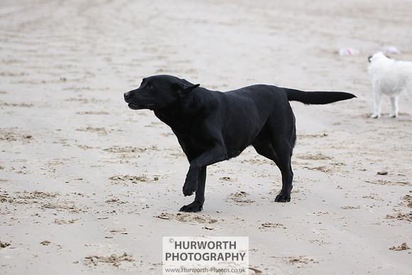 Redcar Beach 049