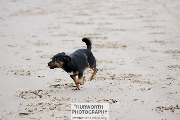 Redcar Beach 048