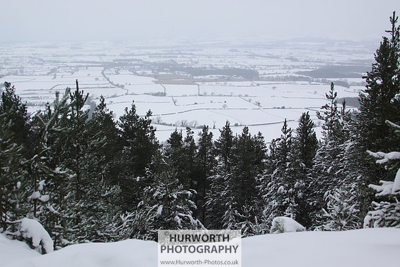 Snow 043