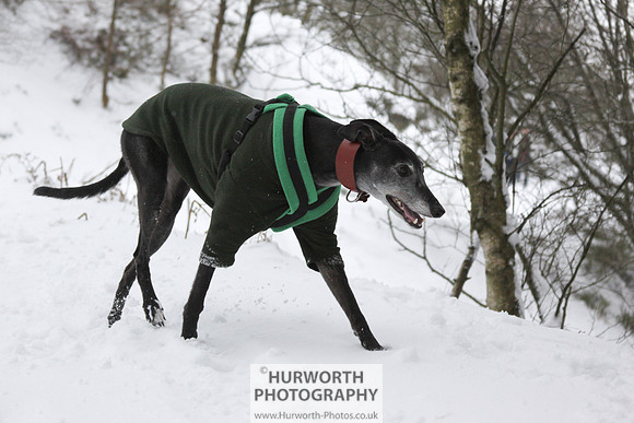 Snow 045