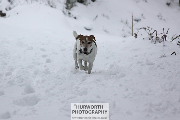 Snow 047