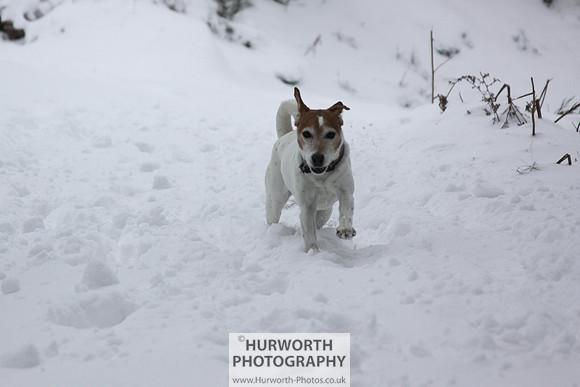 Snow 048