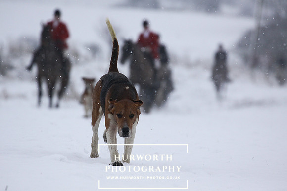 Lead hound