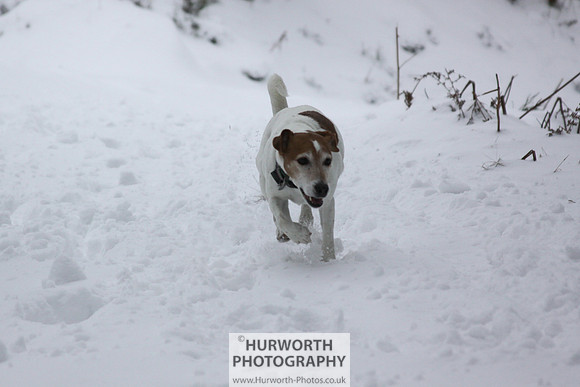 Snow 049