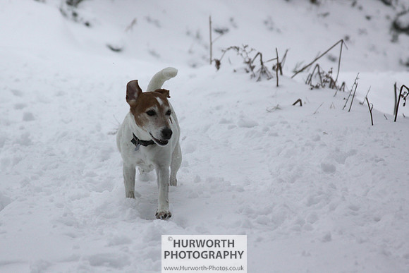 Snow 050