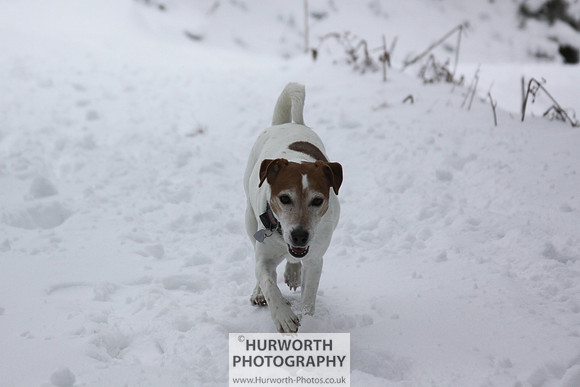 Snow 051