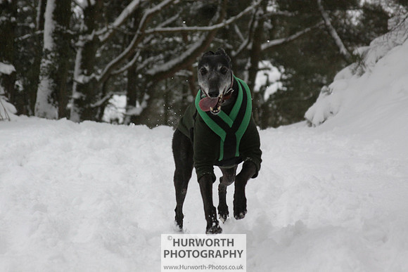 Snow 054