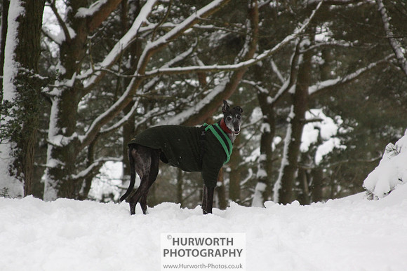 Snow 055