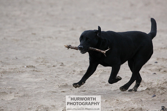 Redcar Beach 004