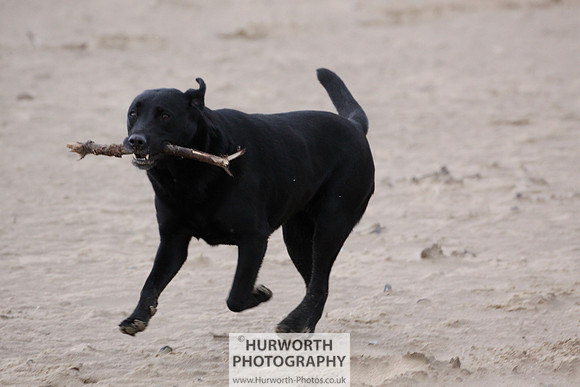 Redcar Beach 005