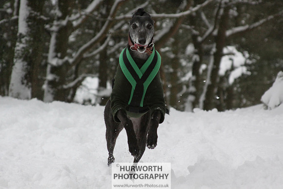 Snow 056