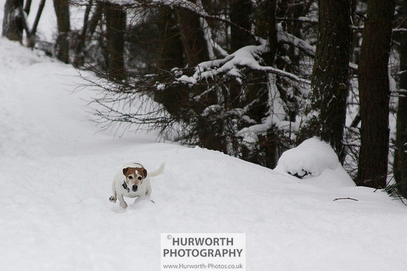 Snow 057