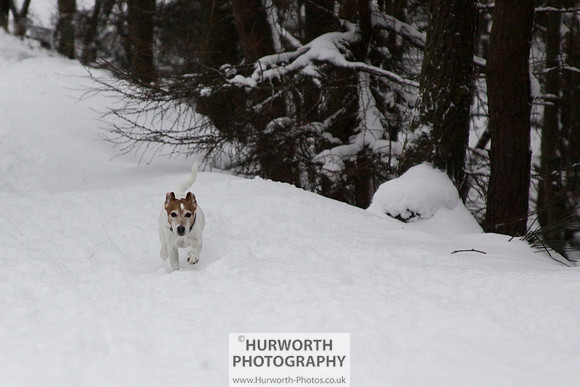 Snow 058