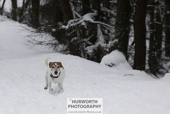 Snow 059