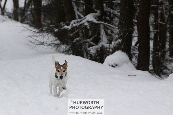 Snow 060