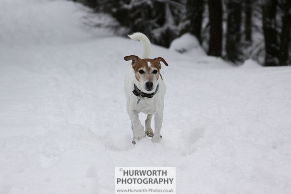 Snow 062