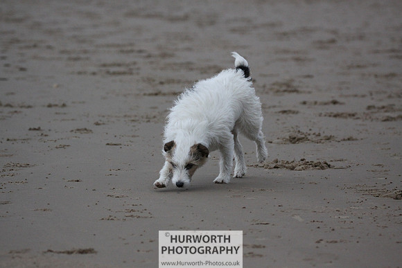 Redcar Beach 010