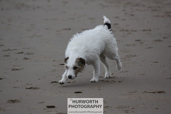Redcar Beach 011