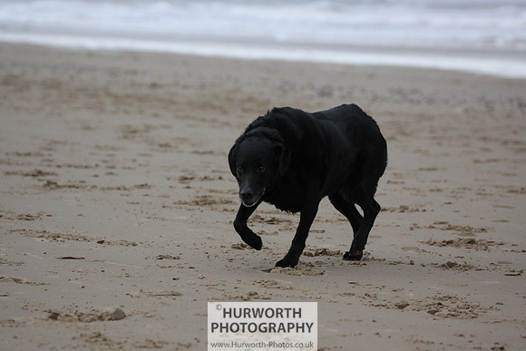 Redcar Beach 012