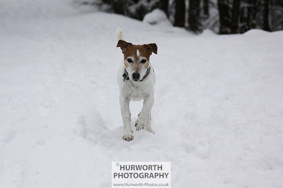 Snow 064